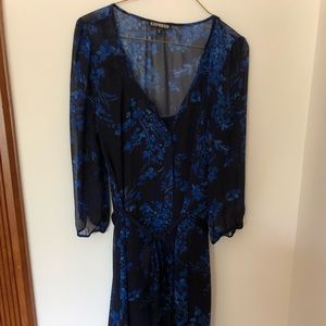 Express Button Down Dress